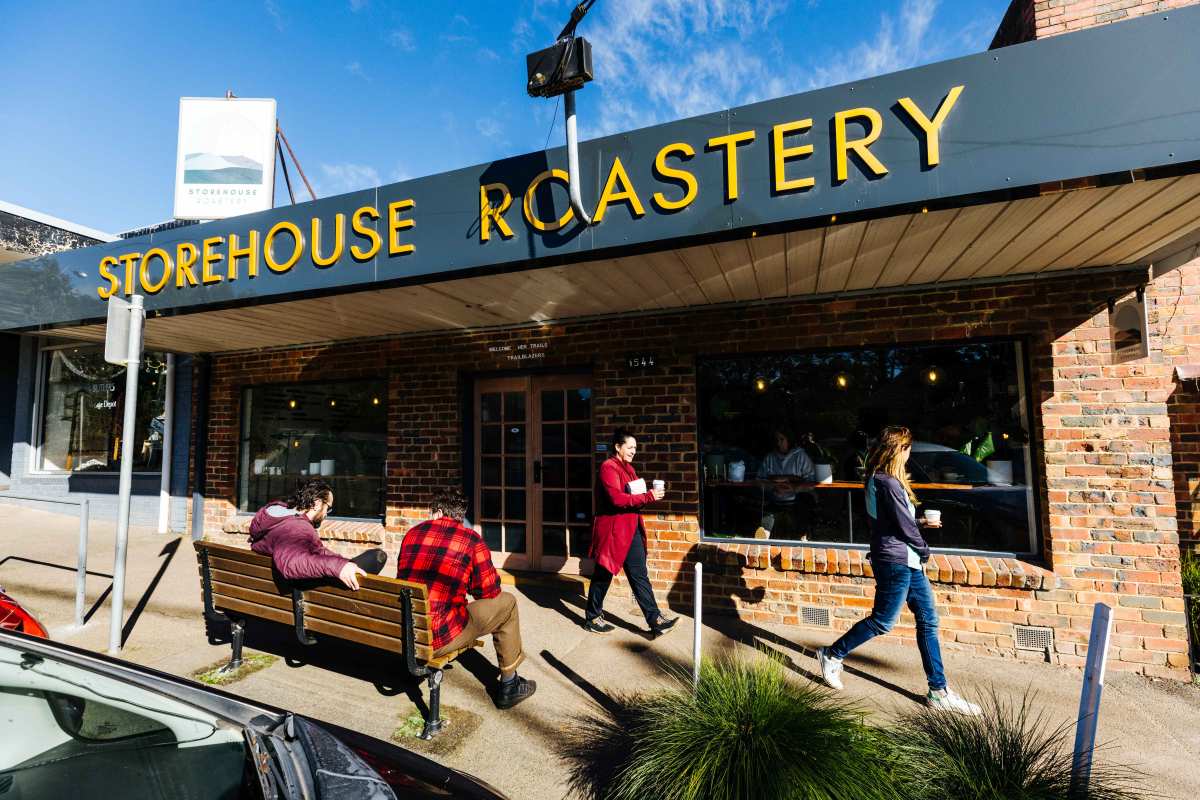 Storehouse Sassafras